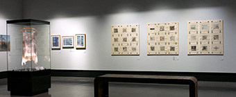 Steve Mace Exhibitions
